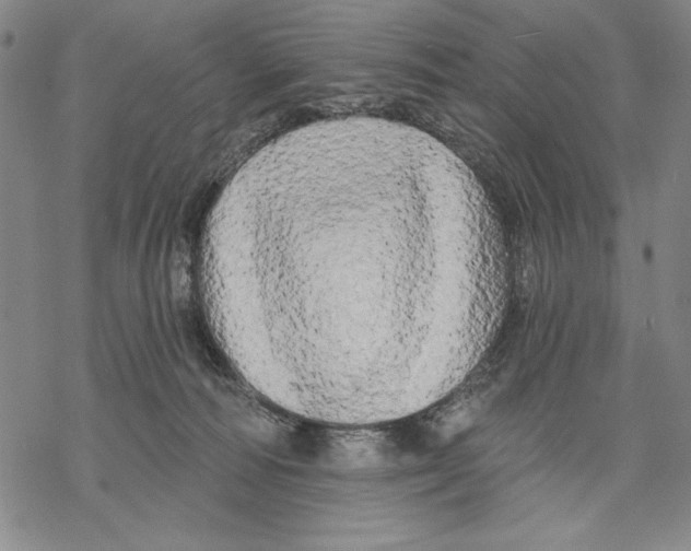 X0000068770226200605191656