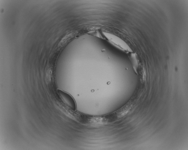 X0000068770227200605191656