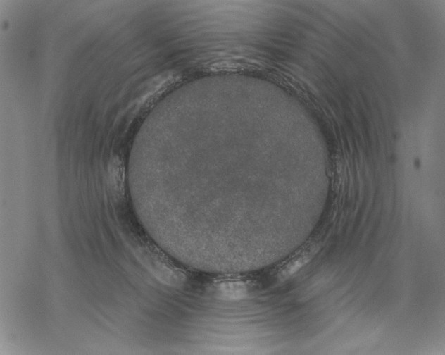 X0000068770228200605191656