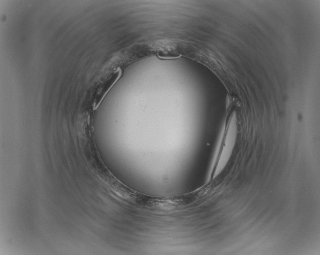 X0000068770229200605191656