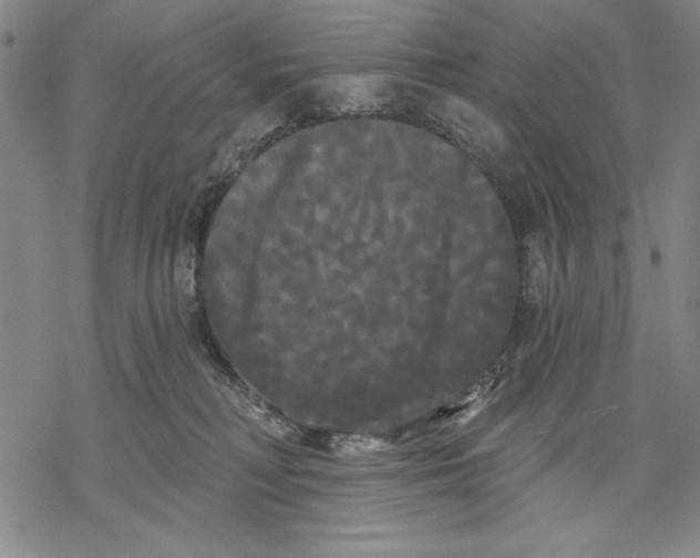 X0000068770230200605191656