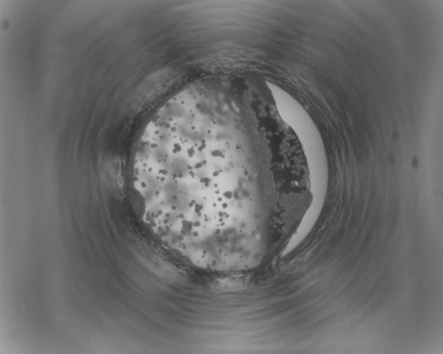 X0000068770232200605191656