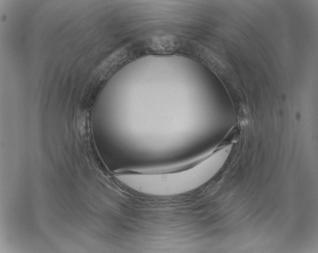 X0000068770233200605191656