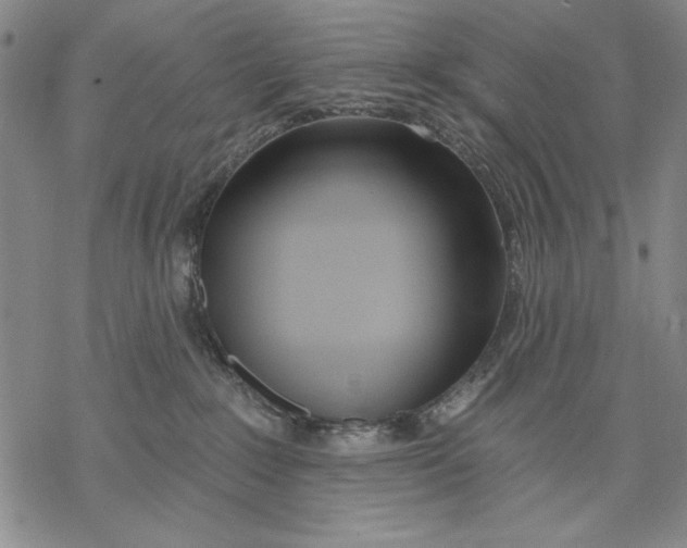 X0000068770235200605191656