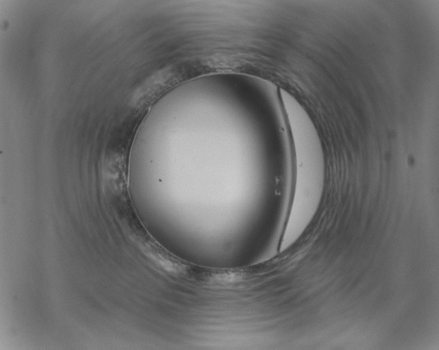 X0000068770237200605191656