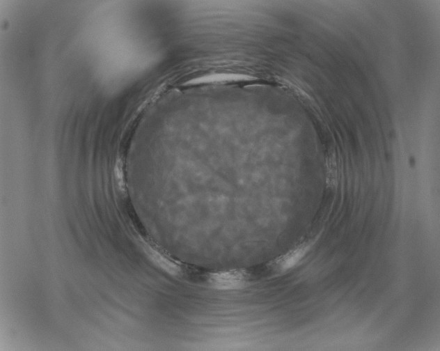 X0000068770238200605191656