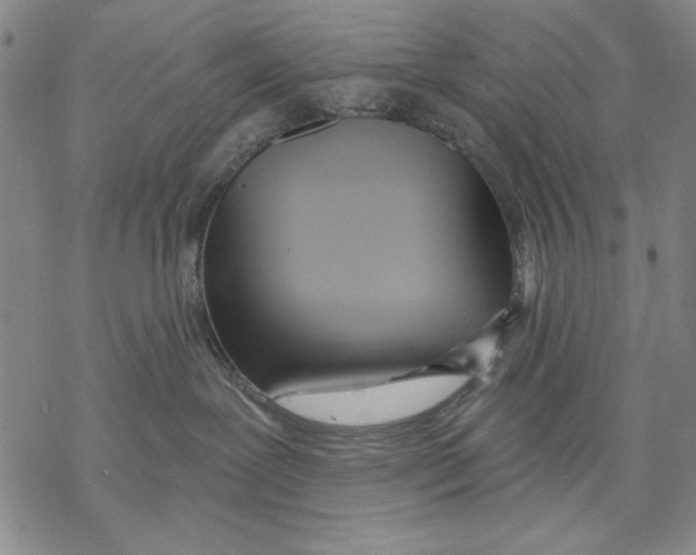 X0000068770239200605191656