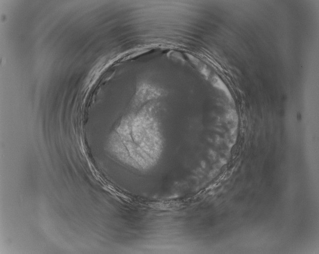 X0000068770241200605191655