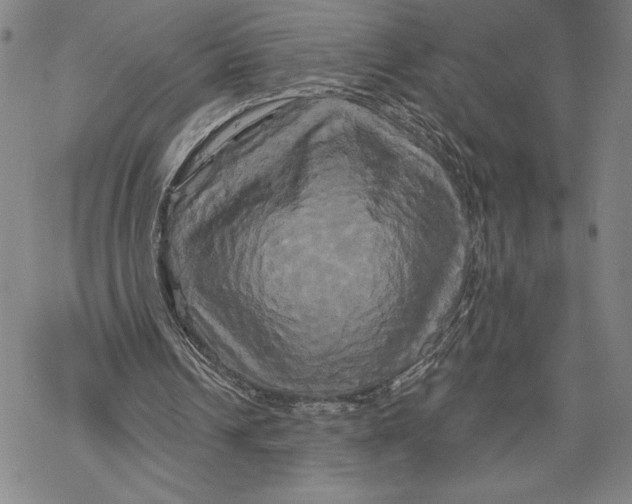 X0000068770242200605191655