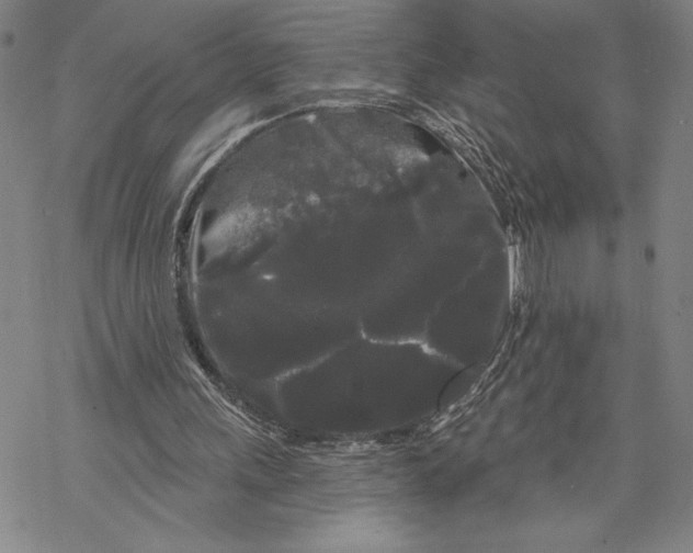 X0000068770243200605191655