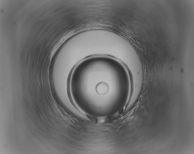 X0000068770244200605191655