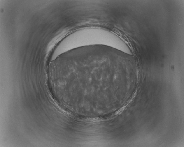 X0000068770245200605191655