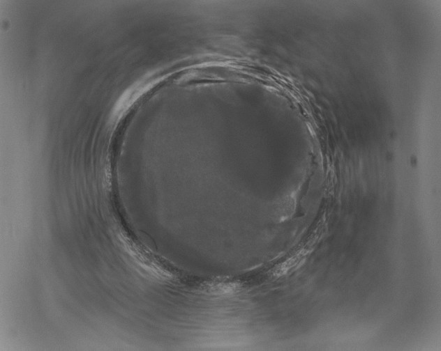 X0000068770247200605191655