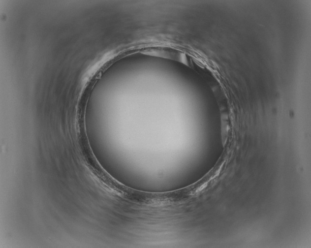 X0000068770248200605191655