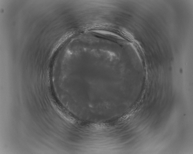 X0000068770250200605191655