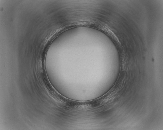 X0000068770251200605191655