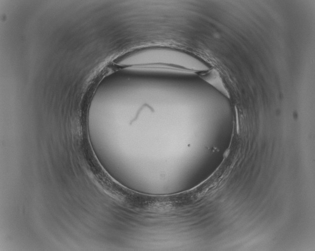 X0000068770252200605191655