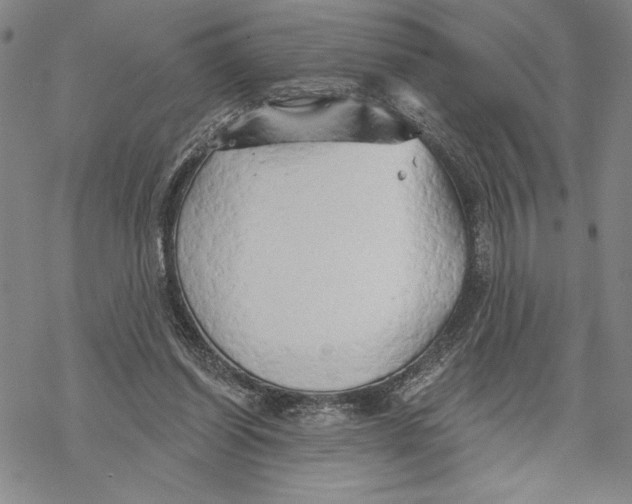 X0000068770254200605191655