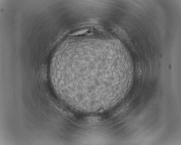 X0000068770255200605191655