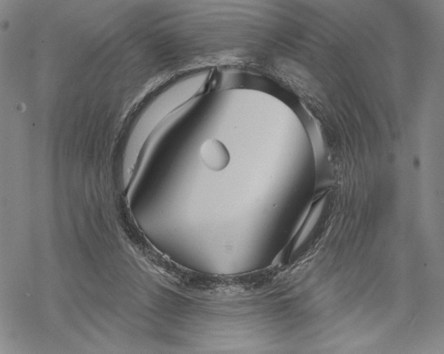 X0000068770256200605191655