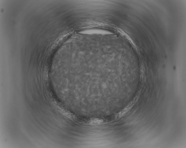 X0000068770257200605191655