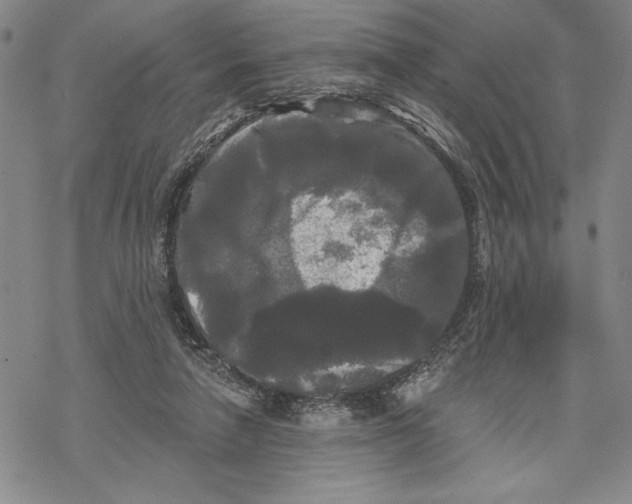 X0000068770258200605191655