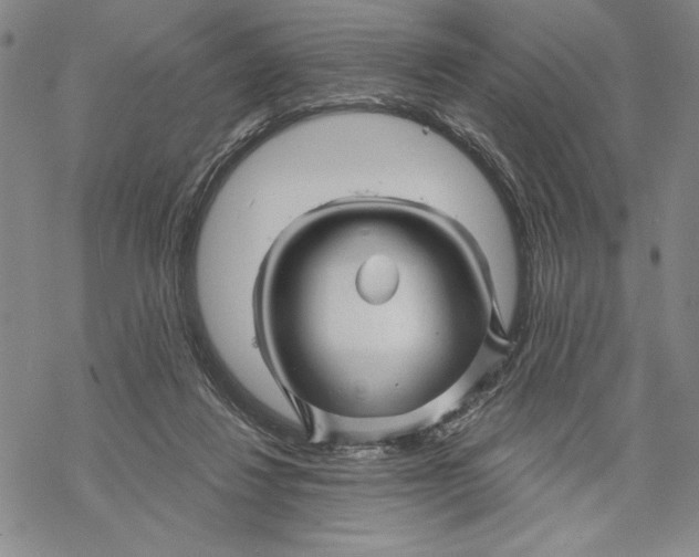 X0000068770260200605191655