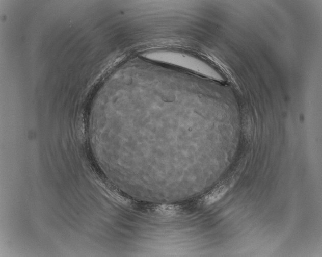 X0000068770261200605191655