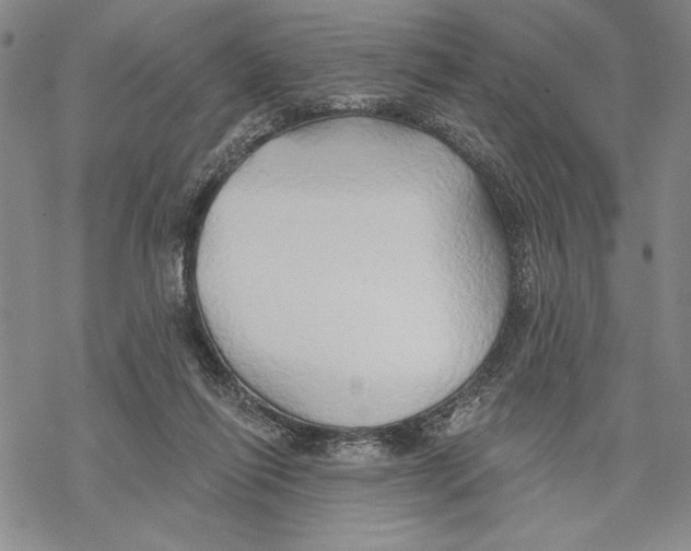 X0000068770262200605191655