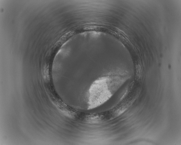 X0000068770267200605191655