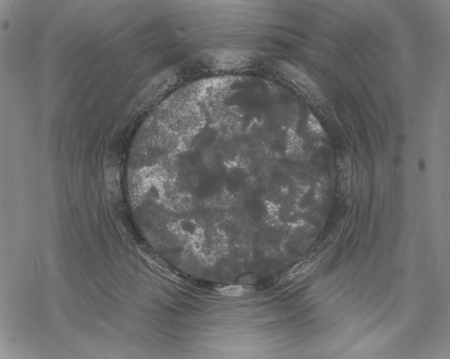 X0000068770269200605191655