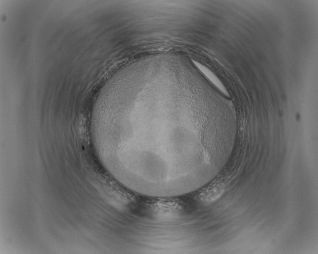 X0000068770270200605191655