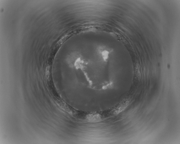 X0000068770271200605191655