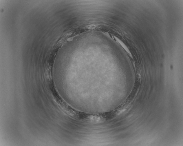 X0000068770272200605191655