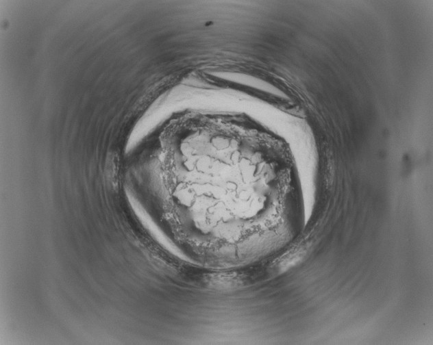 X0000068770273200605191655