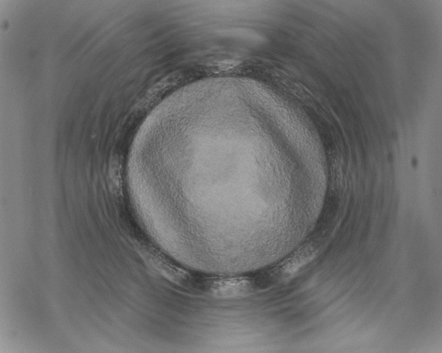 X0000068770274200605191655