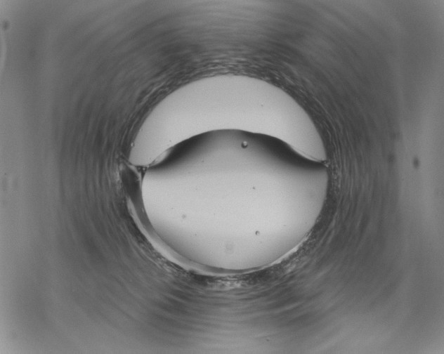 X0000068770276200605191655