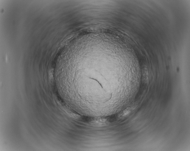 X0000068770278200605191656