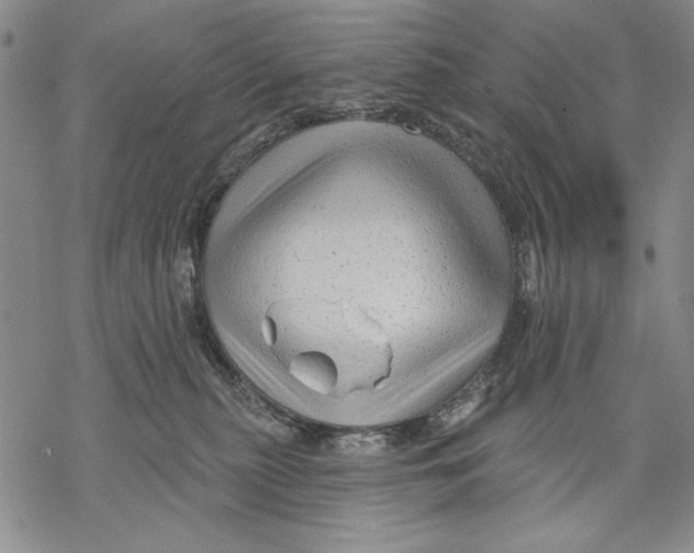 X0000068770279200605191656