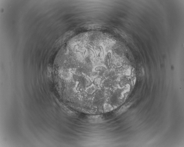 X0000068770281200605191656