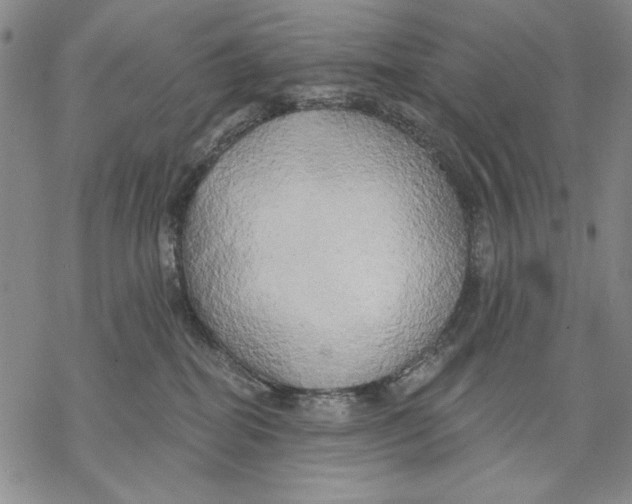 X0000068770282200605191656