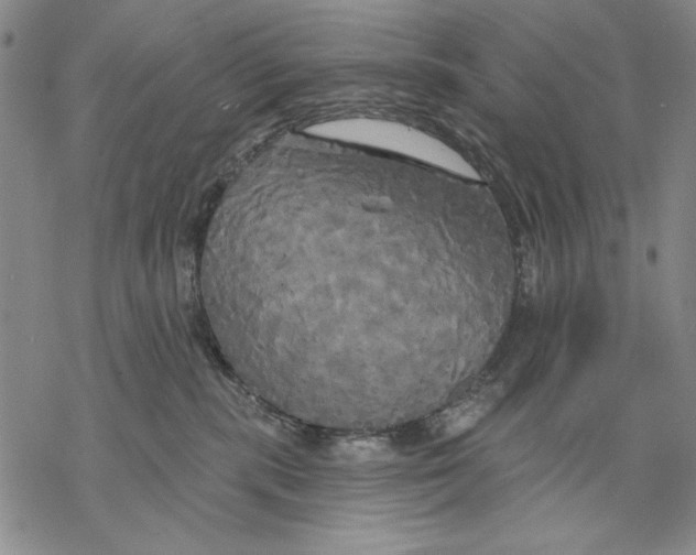 X0000068770283200605191656