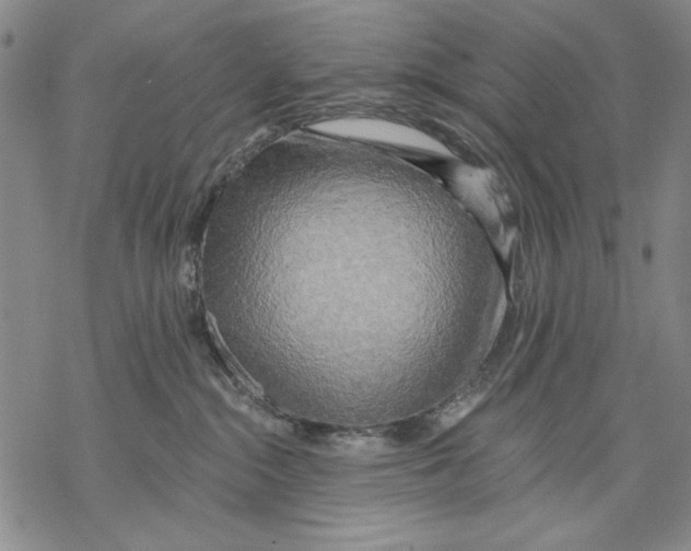 X0000068770284200605191656