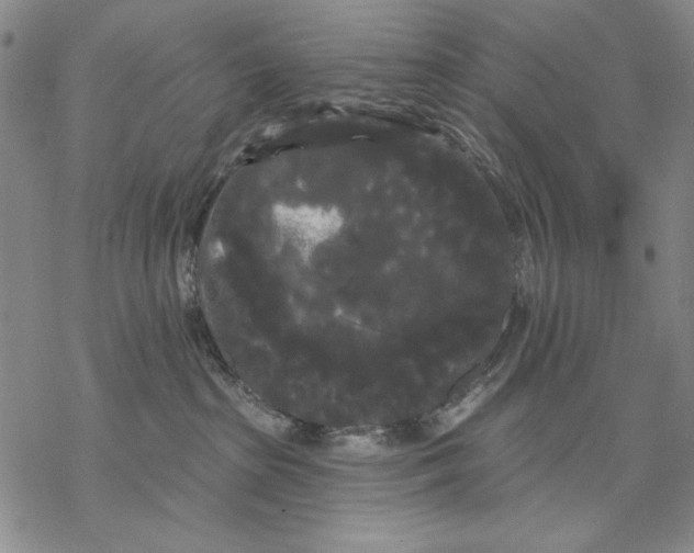 X0000068770285200605191656