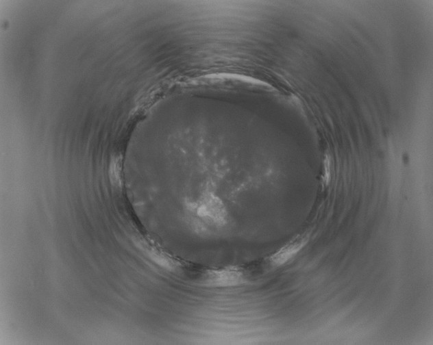 X0000068770286200605191656