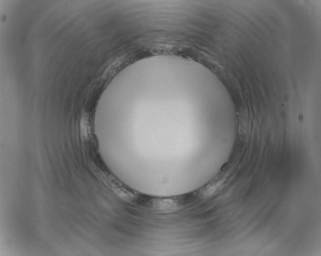 X0000068770287200605191656