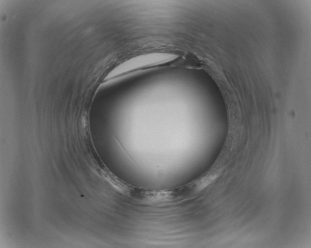 X0000068770288200605191656