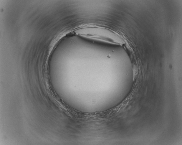 X0000068770289200605191655