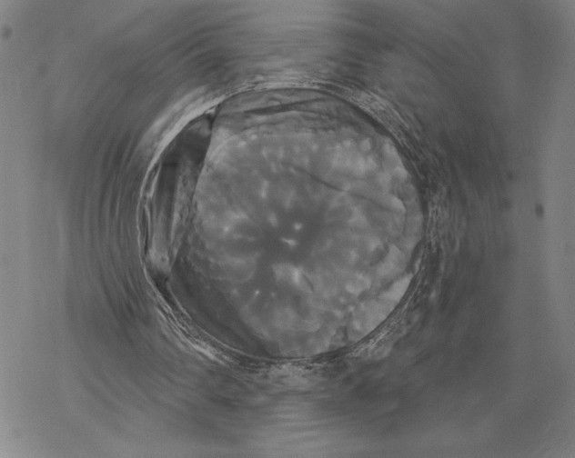 X0000068770290200605191655