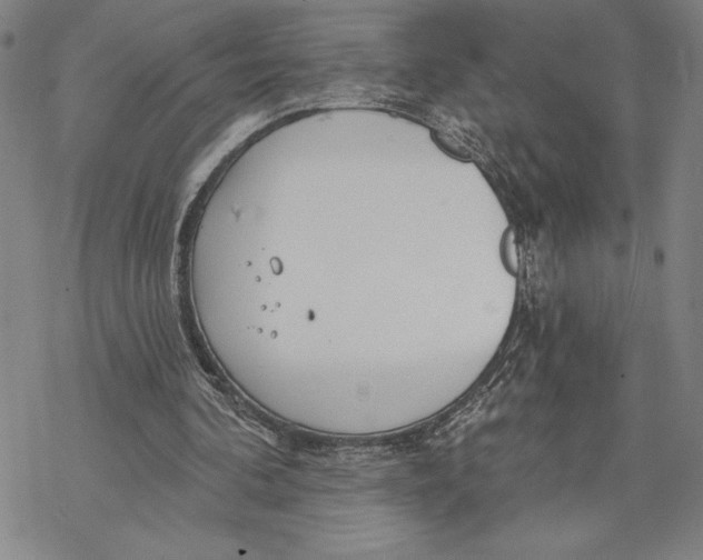 X0000068770292200605191655